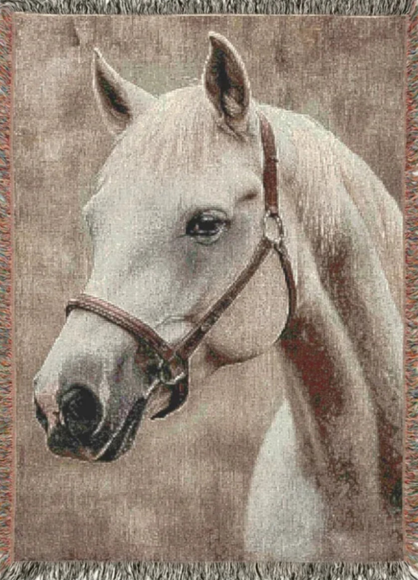Horse Blankets