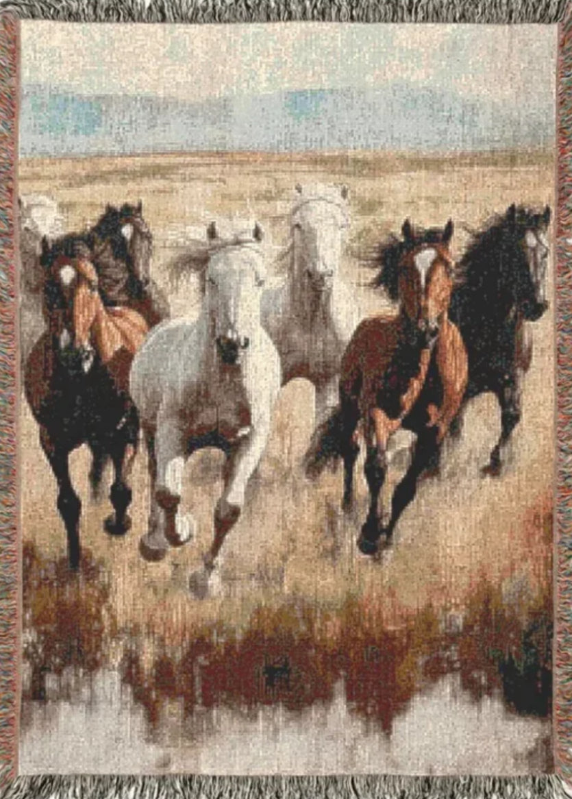 Horse Blankets