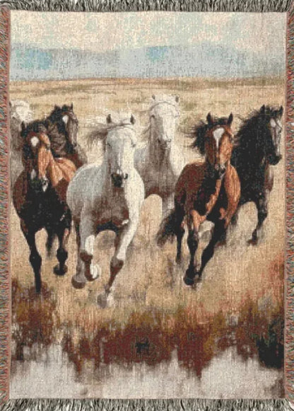 Horse Blankets